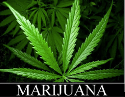 Screen Shot 2015-01-07 at 2.06.02 PM