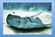 Screen Shot 2015-01-23 at 2.15.27 PM